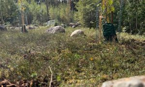 2kunttaa ja kalliota