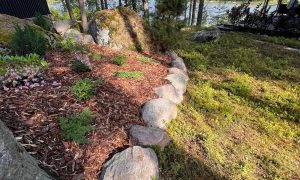 33metsäinen istutus