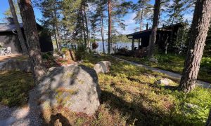 34pihan ennallistaminen metsäiseksi