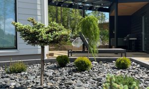 9havuja istutusaltaassa