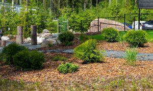 lisää tämä ensimmäiseksi